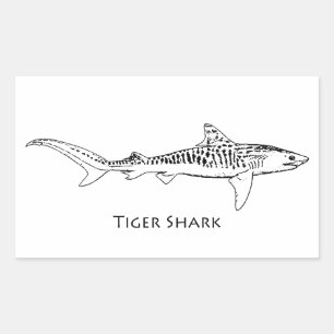 Tijgerhaai illustratie rechthoekige sticker