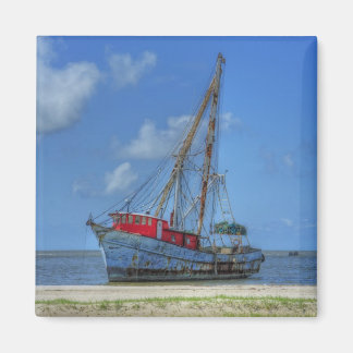 Tijgerhaai Magneet
