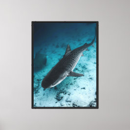 Tijgerhaai Onderwater Oceaan Wildlife Canvas Muur Afdruk