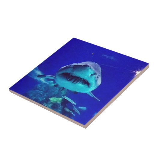 Tijgerhaai Tegeltje (Zijkant)