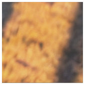 Tijgerhuid Stof (Close Up)