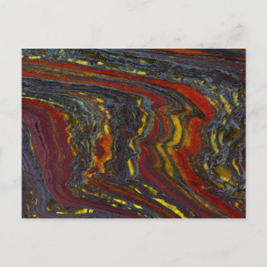 Tijgerijzer in rood, geel, blauw briefkaart (Voorkant)