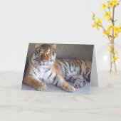 Tijgerkaart Kaart (Gele Bloem)