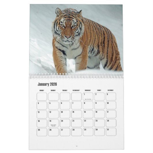 Tijgerkalender Kalender (Jan 2026)