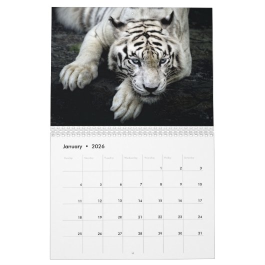 Tijgerkalender Kalender (Jan 2026)