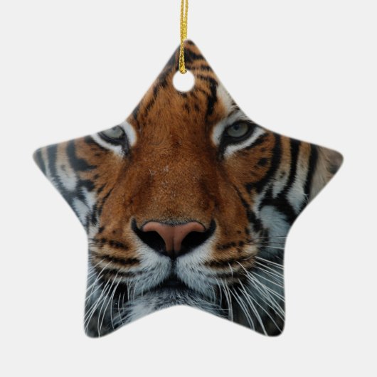 Tijgerkat Strepen Jungle Mist Dier Keramisch Ornament (Voorkant)
