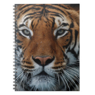 Tijgerkat Strepen Jungle Mist Dier Notitieboek