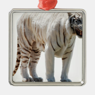 Tijgerkatstrepen personaliseren doe-het-zelf jubil metalen ornament