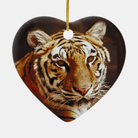 Tijgerkerstmis Keramisch Ornament (Achterkant)