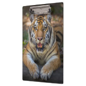 Tijgerklembord Klembord (Links)