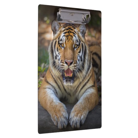 Tijgerklembord Klembord (Rechts)