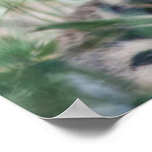 Tijgerknollen Poster (Hoek)