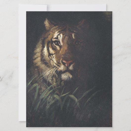 Tijgerkop (door Abott Handerson Thayer) Kaart (Voorkant)