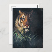 Tijgerkop, kunstschilderij, briefkaart (Voorkant / Achterkant)