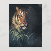 Tijgerkop, kunstschilderij, briefkaart (Voorkant)
