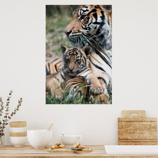 Tijgerkub Poster (Keuken)