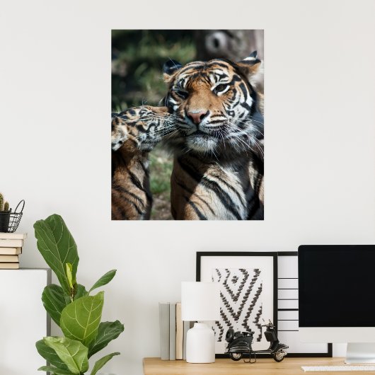 Tijgerkub Poster (Thuiskantoor)