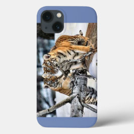 Tijgerkubussen spelen iPhone 13 hoesje