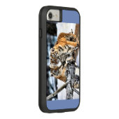 Tijgerkubussen spelen Case-Mate iPhone case (Achterkant / rechts)