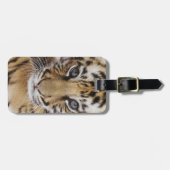 Tijgerkuil Bagagelabel (Voorkant horizontaal)