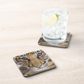 Tijgerkuil Bier Onderzetter (Rechterzijde)