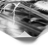 Tijgerkuil in de gras foto afdruk (Hoek)