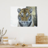 Tijgerkuil in sneeuw sluit portret af poster (Keuken)