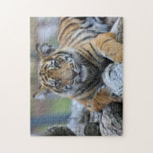 Tijgerkuil Legpuzzel (Verticaal)