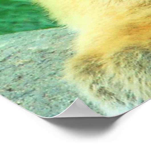 Tijgerkuil Poster (Hoek)