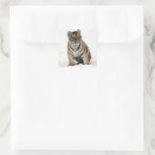 Tijgerkuil Vierkante Sticker (Tas)