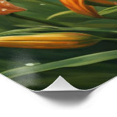 Tijgerlelie Bloem Perfect Poster (Hoek)
