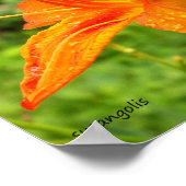 Tijgerlelie Botanische Waarde Poster (Hoek)