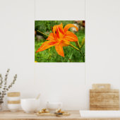 Tijgerlelie Botanische Waarde Poster (Keuken)