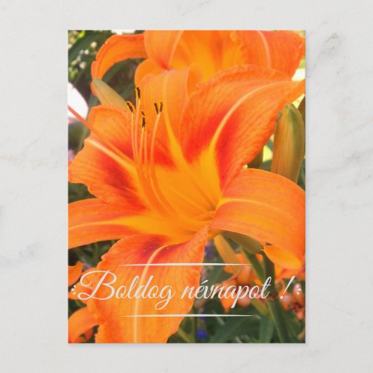 Tijgerlelie - Naam Dag Briefkaart (Voorkant)