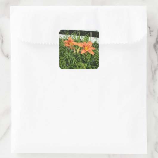 tijgerlelies naast hek vierkante sticker (Tas)