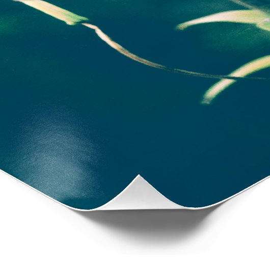 tijgerlib perfect poster (Hoek)