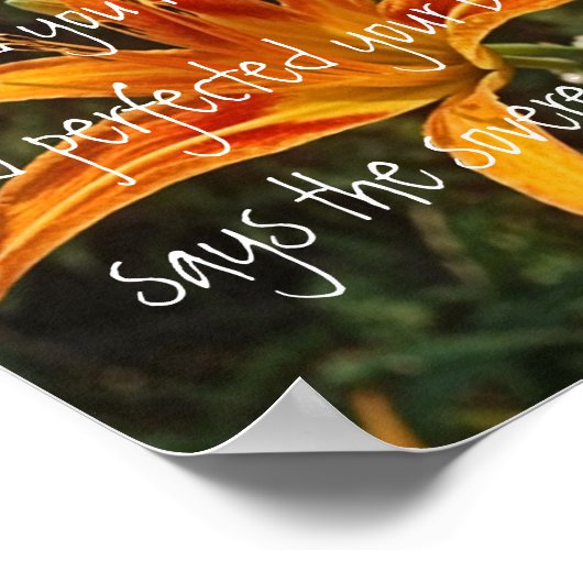 tijgerlibel vers Ezekiel 16:14 Poster (Hoek)