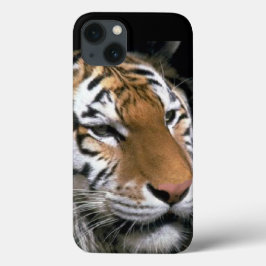 Tijgerliefhebbers Case-Mate iPhone Case