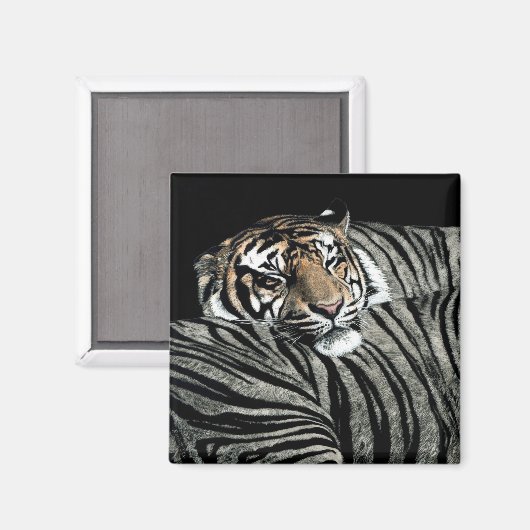 Tijgermagneet #1 - "Slaappatronen" Magneet (Voorkant / Achterkant)