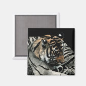 Tijgermagneet #2 - "Slaappatronen" Magneet (Voorkant / Achterkant)
