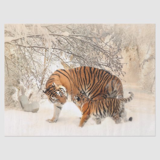 Tijgermoeder en baby tissue papier (Voorkant)