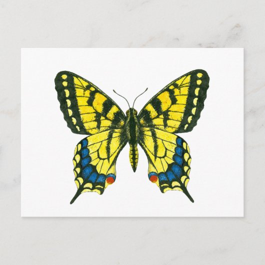 tijgermoerasmat briefkaart (Voorkant)