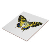 tijgermoerasmat tegeltje (Zijkant)