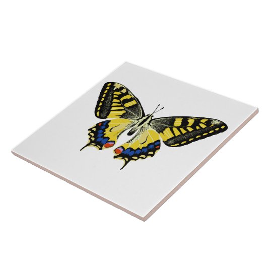 tijgermoerasmat tegeltje (Zijkant)