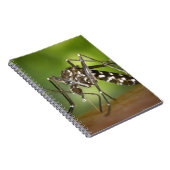 Tijgermug Notitieboek (Rechterzijde)