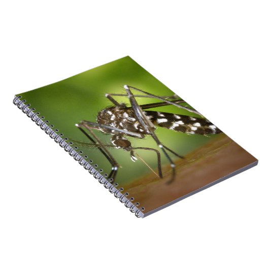 Tijgermug Notitieboek (Rechterzijde)