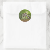 Tijgermug Ronde Sticker (Tas)