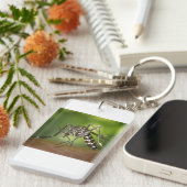 Tijgermug Sleutelhanger (Voorkant Rechts)