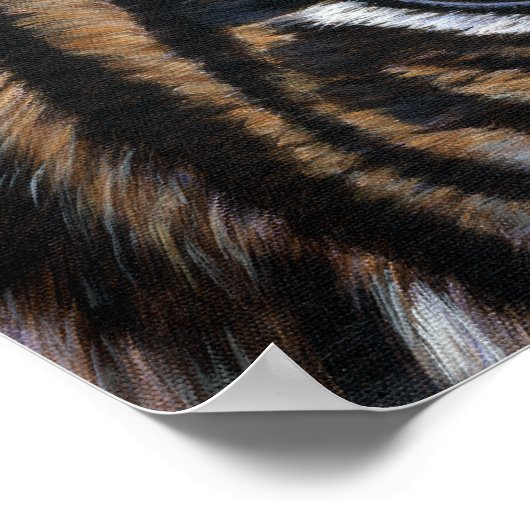 Tijgerogen Poster (Hoek)