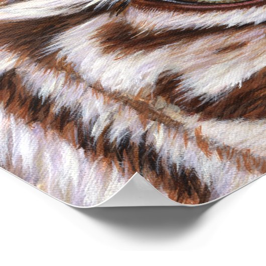 Tijgerogen Poster (Hoek)